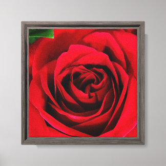 8X8 Rosenbild auf Leinwand