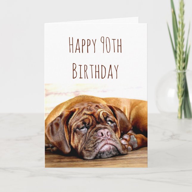 90. Geburtstag Sad Hund Bleibe Pawsitive Spaß Karte (Vorderseite)