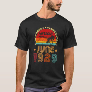 93. Geburtstag Phantastisch Seit Juni 1929 Vintag T-Shirt