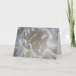 9570-weiße Nelken Karte