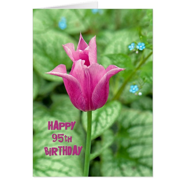 95. Geburtstag (Vorne)