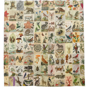 96 Vintage botanische Tierdrucke aus der Naturgesc Duschvorhang