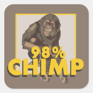 98 % Chimp-Aufkleber Quadratischer Aufkleber