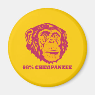 98 % Schimpanse Magnet