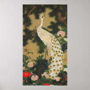 9. 老 松 孔 図, 若 冲 alten Kiefernbaum und Pfau, Jakuch Poster