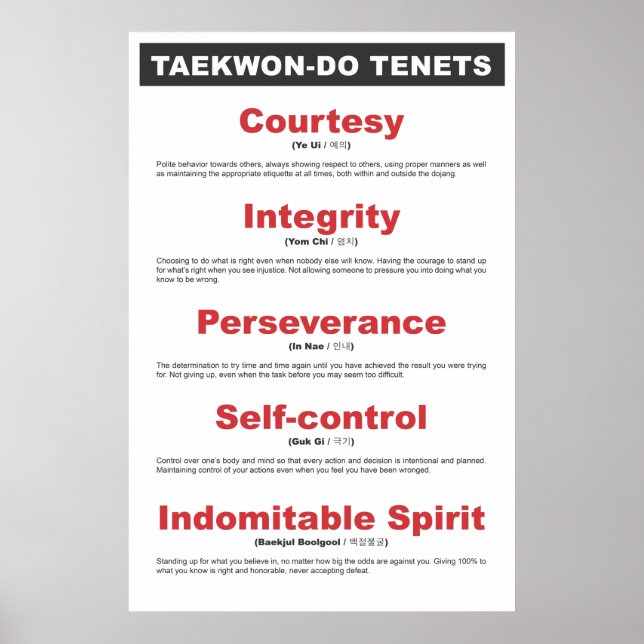 9-2 Generisches Taekwon-Do-Tenets-Poster Poster (Vorne)