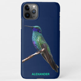 9,50 $ Hummingbird Blue Personalisiert BUDGET iPhone 11Pro Max Hülle