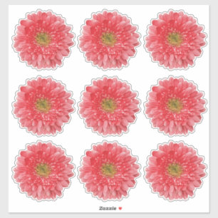 9 Coral Gerbera Daisy Blume Kiss-Cut Stickers Aufkleber