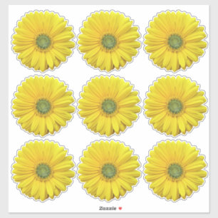9 Gelbe Gerber-Daisy-Blumen-Kiss-Cut-Aufkleber Aufkleber