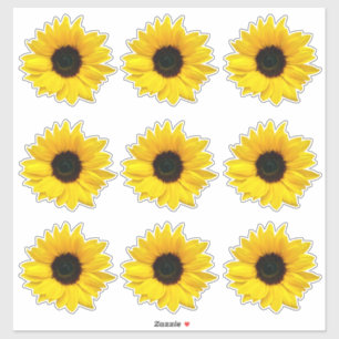 9 gelbe Sonnenblumen-Blumen-Kiss-Cut-Aufkleber Aufkleber