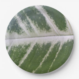 9 Inch Elegantes grünes Leaf mit zarter weißer Lin Pappteller