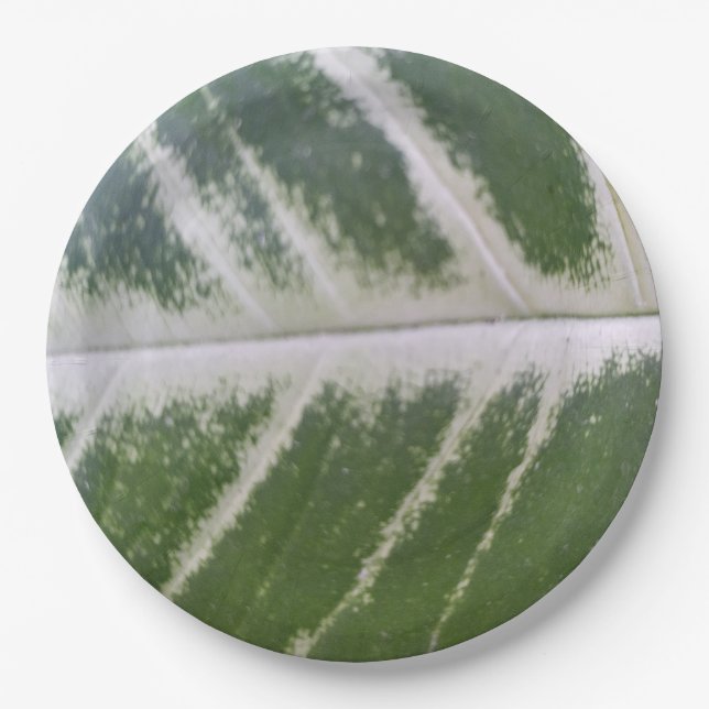 9 Inch Elegantes grünes Leaf mit zarter weißer Lin Pappteller (Vorderseite)