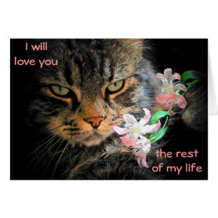 9 Leben in Liebe Sie Cat Meme