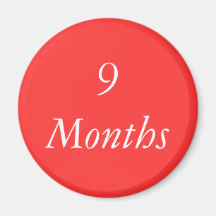 9 Monate Chip- Magnet