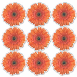9 Orange Gerbera Daisy Blume Kiss-Cut Stickers Aufkleber
