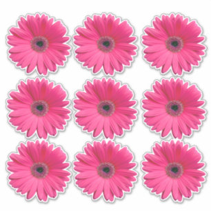 9 Pink Gerbera Daisy Blume Kiss-Cut Stickers Aufkleber