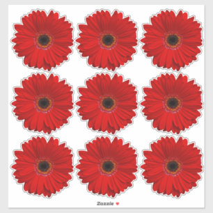 9 rote Gerber-Daisy-Blumen-Kiss-Cut-Aufkleber Aufkleber