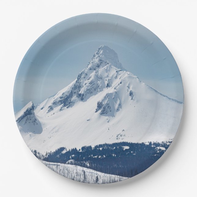 9" Rundpapierplatte Pappteller (Vorderseite)