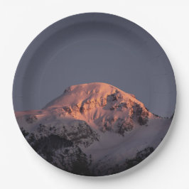 9" Rundpapierplatte Pappteller