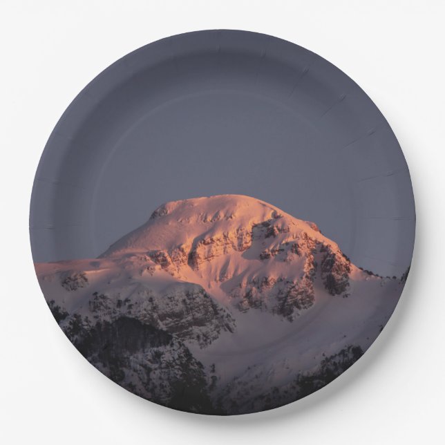 9" Rundpapierplatte Pappteller (Vorderseite)