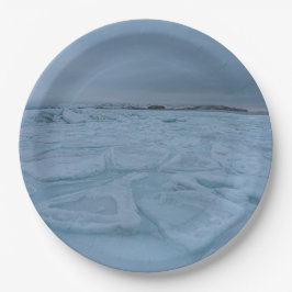 9" Rundpapierplatte Pappteller