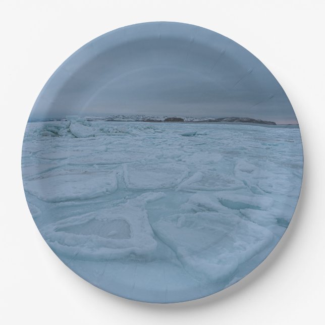 9" Rundpapierplatte Pappteller (Vorderseite)