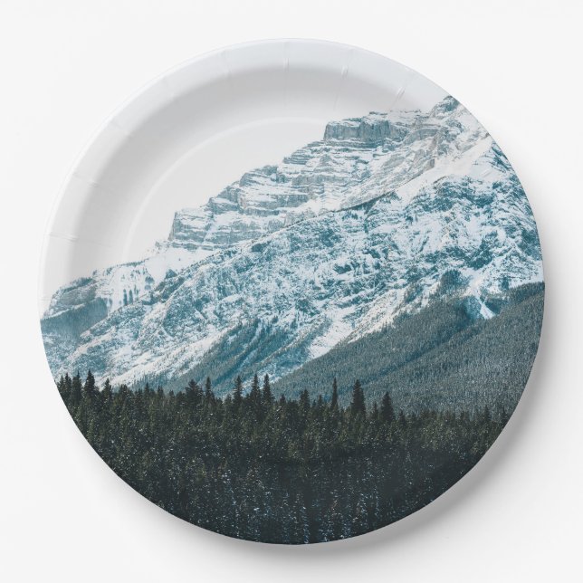 9" Rundpapierplatte Pappteller (Vorderseite)