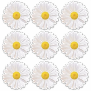 9 Shasta Daisy Blume Kiss-Cut Stickers Aufkleber