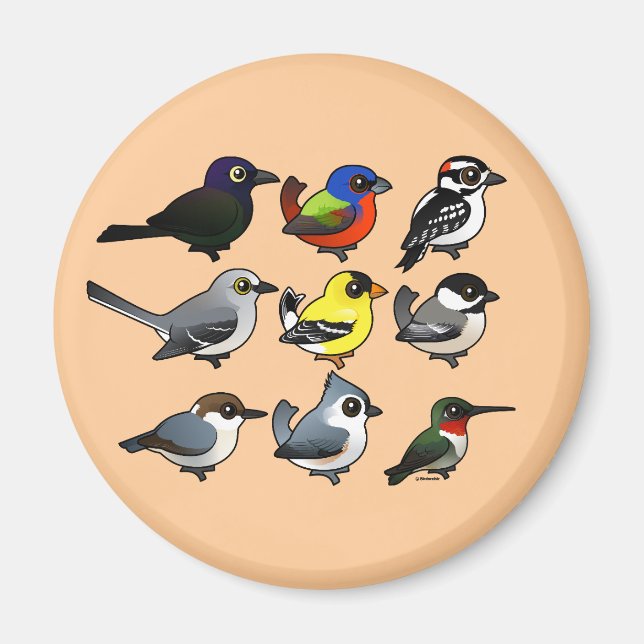 9 Südost-USA-Hinterhofvögel Magnet (Vorne)