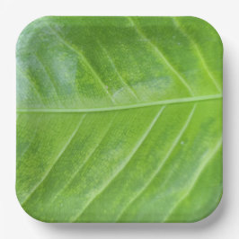 9-Zoll-Papiertafel mit bezauberndem Grün Pappteller