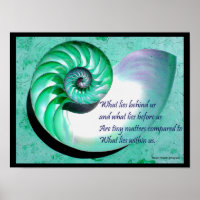 A01 Nautilus Muschel Poster mit inspirierendem Zit