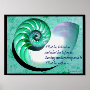 A01 Nautilus Muschel Poster mit inspirierendem Zit