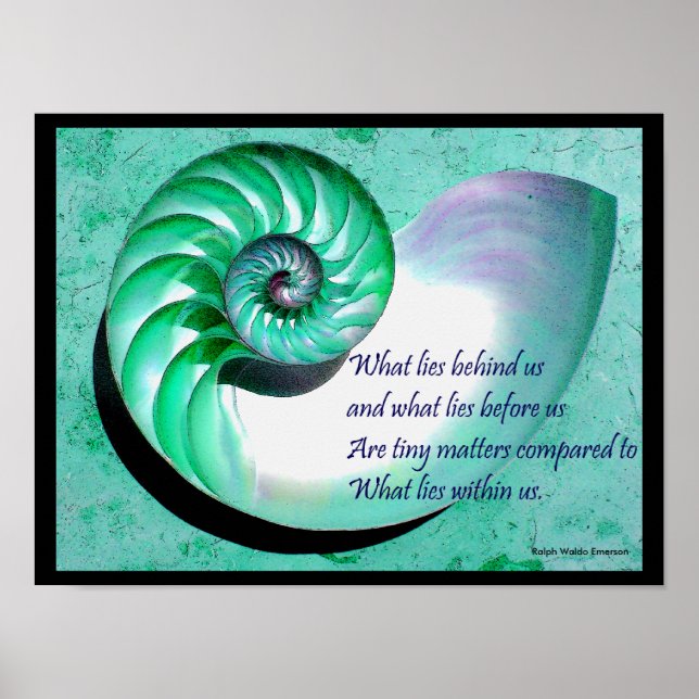 A01 Nautilus Muschel Poster mit inspirierendem Zit (Vorne)