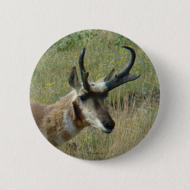 A12 Pronghorn Antelope Button