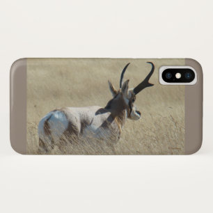 A14 Gabelbock-Sonnenbock Case-Mate iPhone Hülle