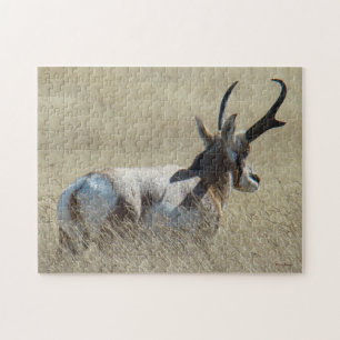 A14 Gabelbock-Sonnenbock Puzzle
