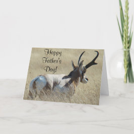 A14 Pronghorn Antelope Sunshine Buck Karte