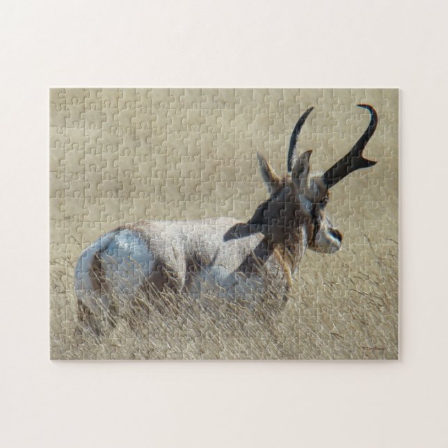 A14 Pronghorn Antelope Sunshine Buck Puzzle (Horizontal)