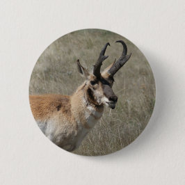 A15 Pronghorn Antelope Rude Buck Button