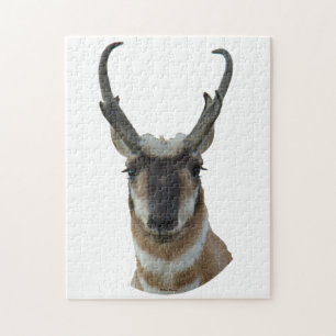 A19 Pronghorn Antilopen-Kopf Puzzle