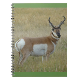 A1 Pronghorn Antelope Big Buck Notizblock