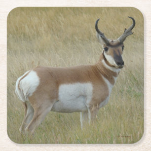 A1 Pronghorn Antelope Big Buck Rechteckiger Pappuntersetzer