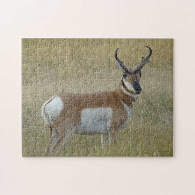 A1 Pronghorn Antilopen-viel Geld Puzzle (Horizontal)