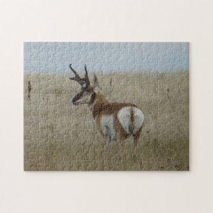 A22 Pronghorn Antelope Buck Puzzle