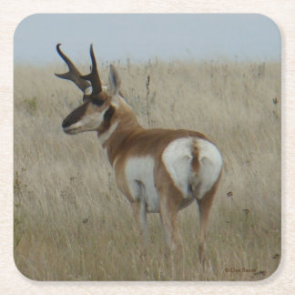 A22 Pronghorn Antelope Buck Rechteckiger Pappuntersetzer