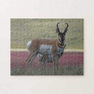 A24 Gabelbock Puzzle