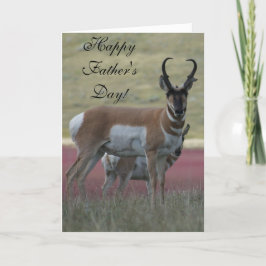A24 Pronghorn Antelope Buck Karte