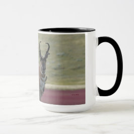 A24 Pronghorn Antelope Tasse