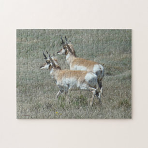 A27 Gabelbock-Jungböcke Puzzle