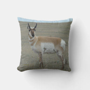 A28 Gabelbock Junger Bock Kissen